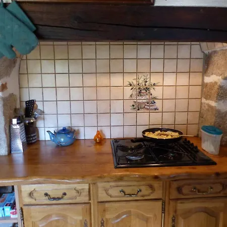 別荘 Maison Rustique Avec Cheminee, Jardin Et Animaux Admis A - Fr-1-489-184