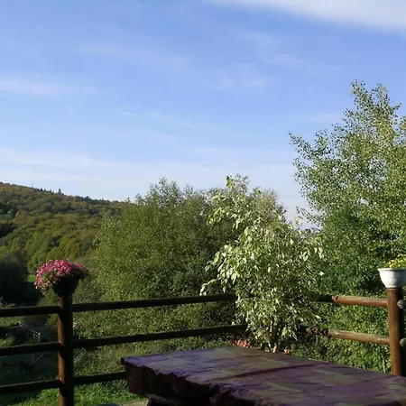 Maison Rustique Avec Cheminee, Jardin Et Animaux Admis A - Fr-1-489-184 *